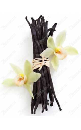 Exotic - Ваниль 10мл