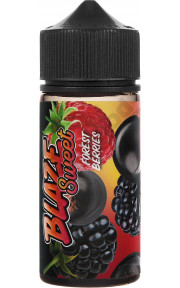 BLAZE SWEET - Forest Berries 100мл